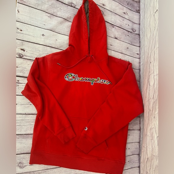 Worldly Champion Hoodie - Picture 1 of 4